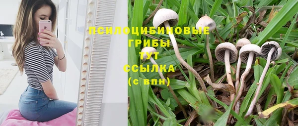 МДМА Карпинск