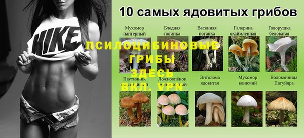 МДМА Карпинск