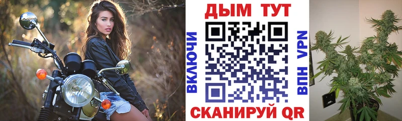 Шишки марихуана сатива  Купить закладки  Правдинск 